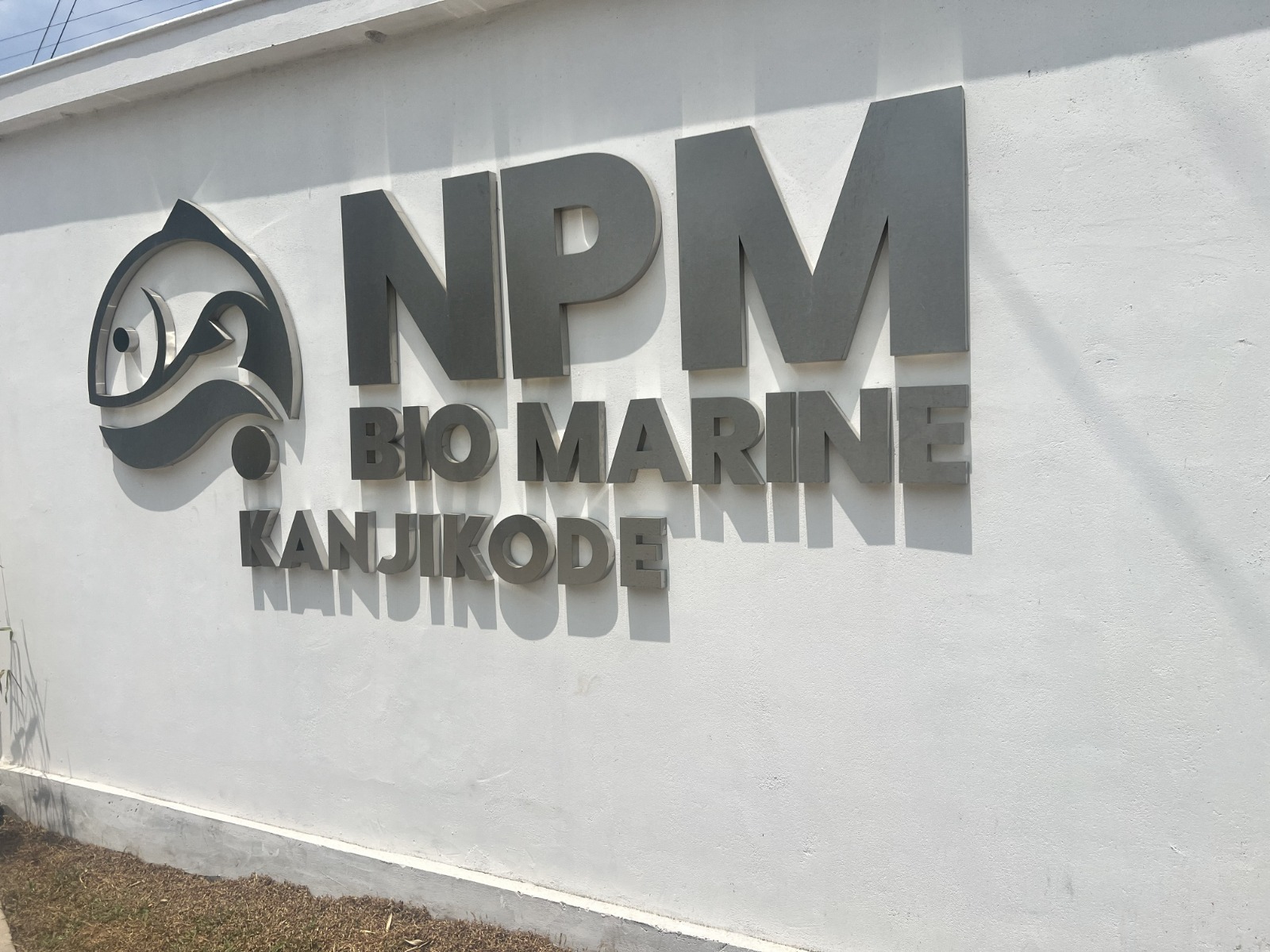 ♻️ Successfully Installed Fish Waste Shredding Machine at NPM Bio Marine, Kanjikode, Kerala
